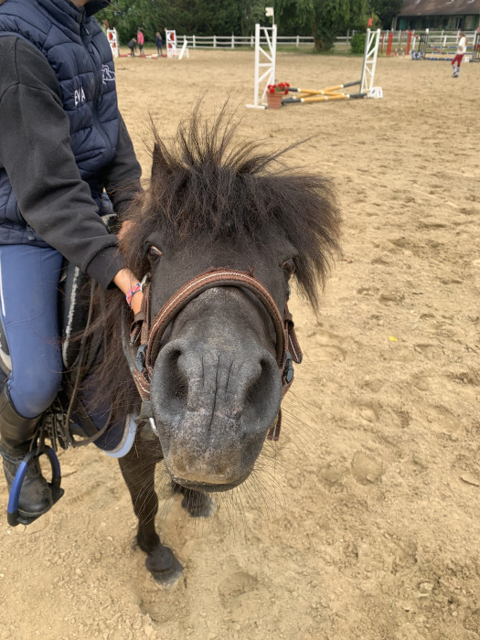 Photo de profil de eva67199