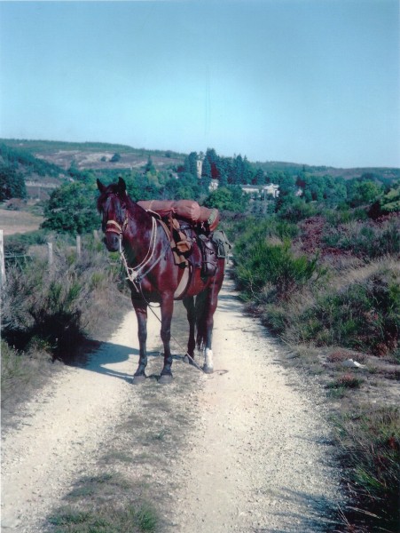 Photo de profil de evacasetta