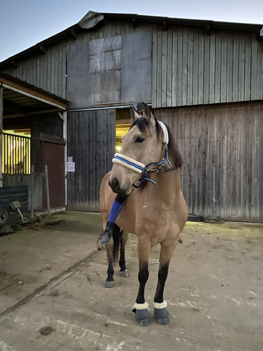 Photo de profil de evamgr