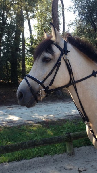 Photo de profil de evasoubrane