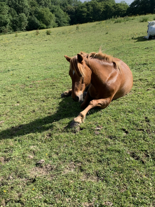 Photo de profil de evathunder21