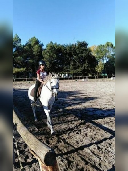 Photo de profil de ev__horse