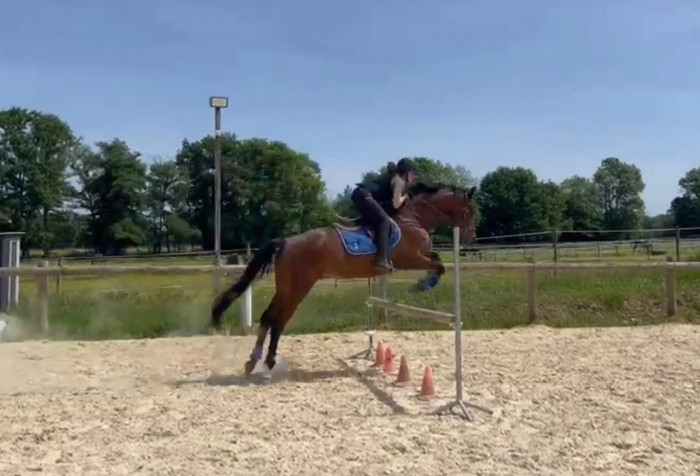 Photo de profil de eville