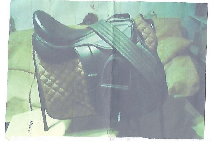 Photo de profil de evilys