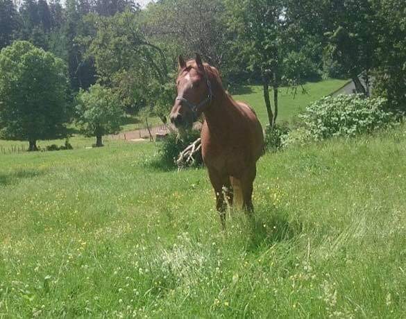 Photo de profil de evo25350