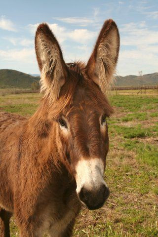 Photo de profil de expresso2.0