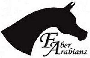 Photo de profil de faber_arabians