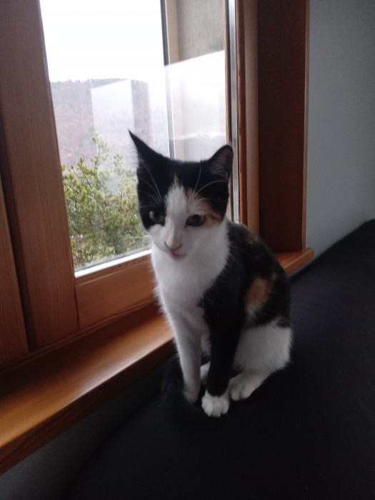 Photo de profil de faemous74