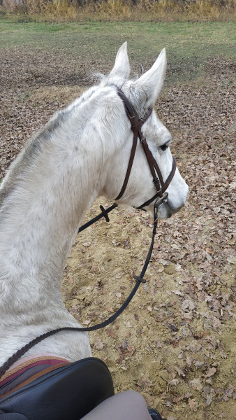 Photo de profil de fannie5