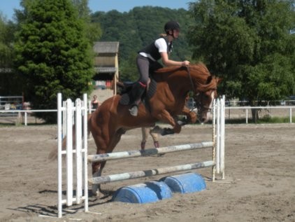 Photo de profil de fannycheval