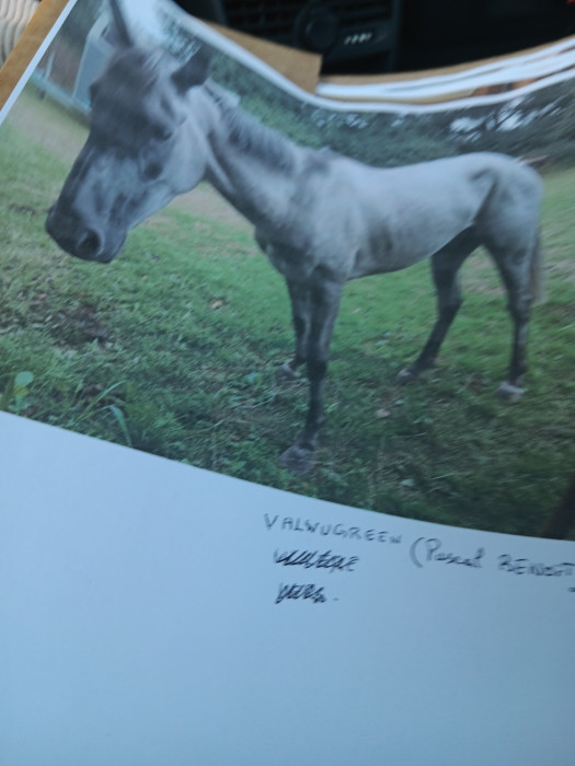 Photo de profil de fanou6