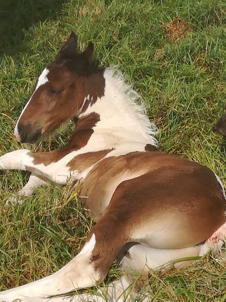 Photo de profil de farouck18