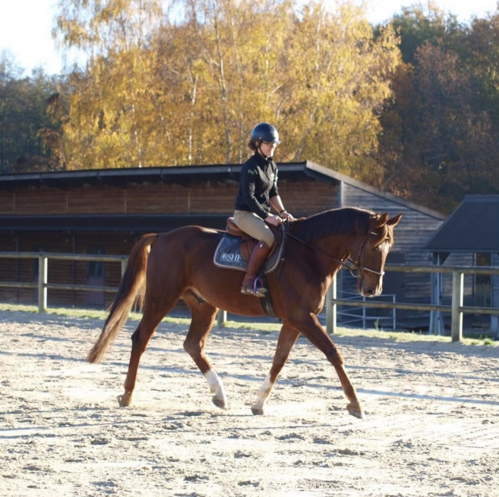 Photo de profil de fazhrat