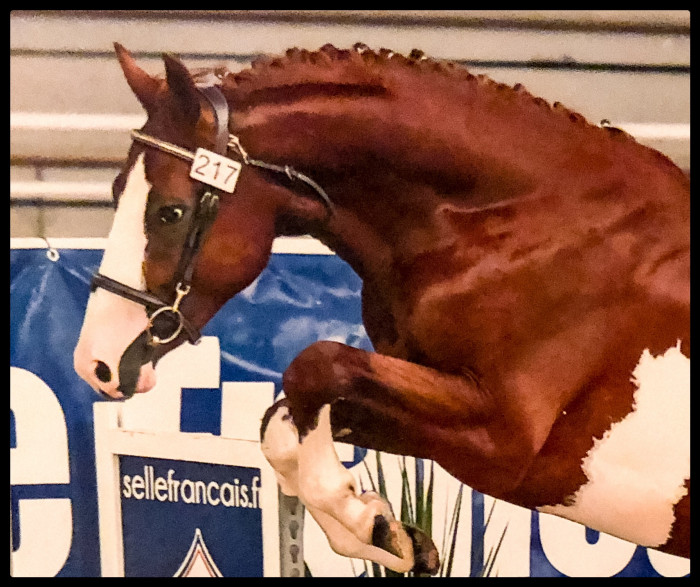 Photo de profil de fbrivois