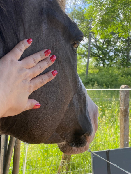 Photo de profil de fchorsemassage