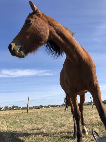 Photo de profil de fetiche4