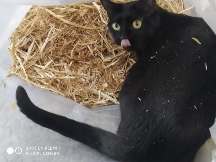 Photo de profil de fiestaetferia