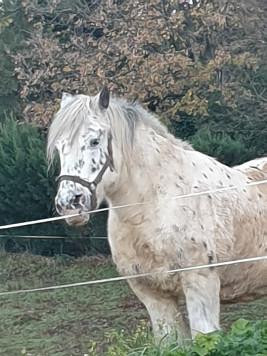 Photo de profil de fifinette83