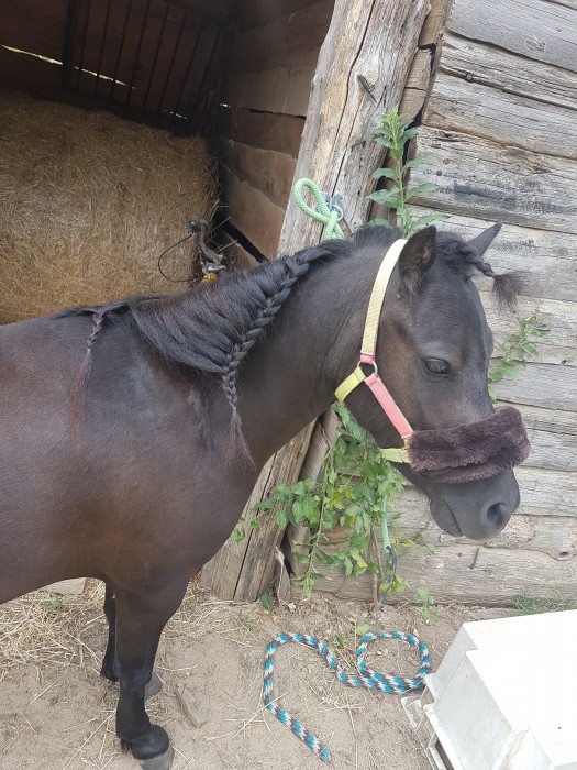 Photo de profil de fiftylion