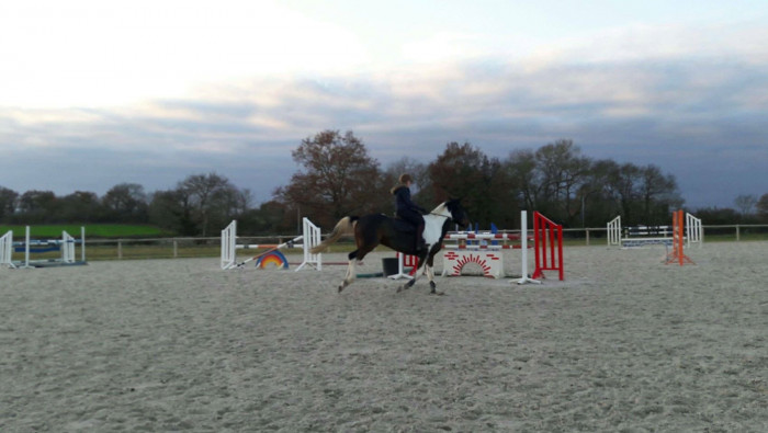 Photo de profil de filippa_j