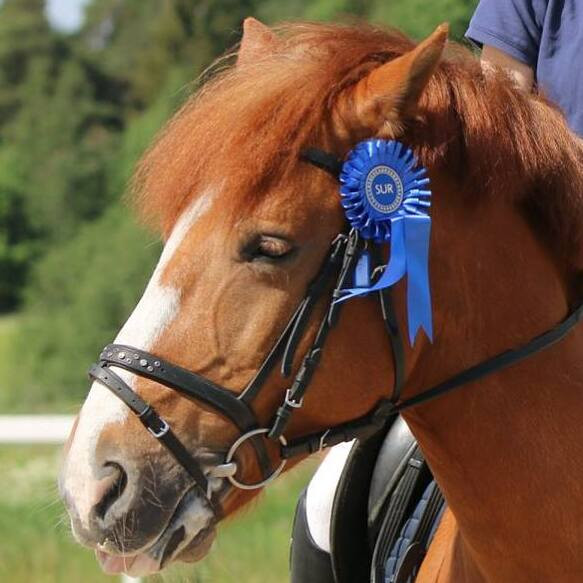 Photo de profil de filledefinlande