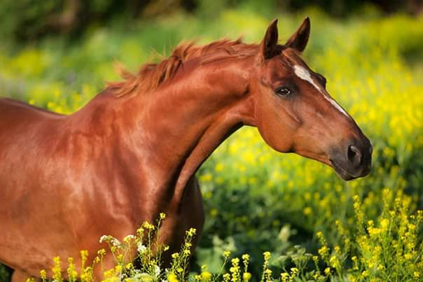 Photo de profil de finie