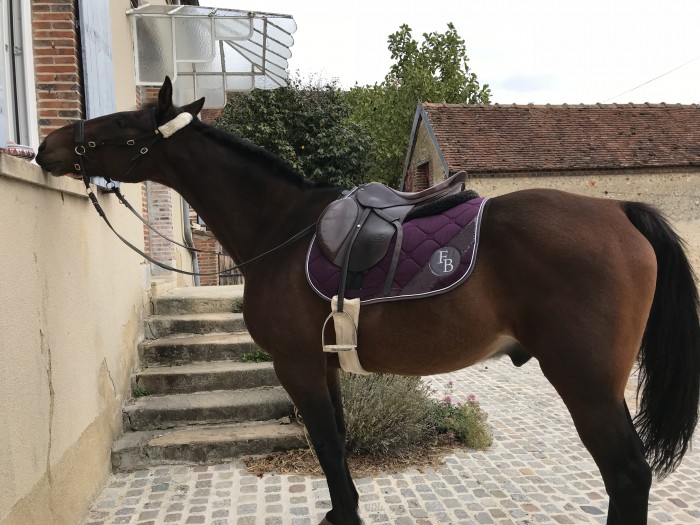 Photo de profil de flo.