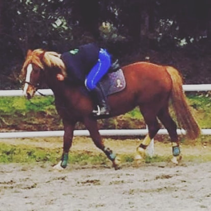 Photo de profil de flo-du-56