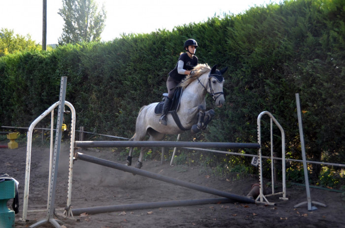 Photo de profil de floflora