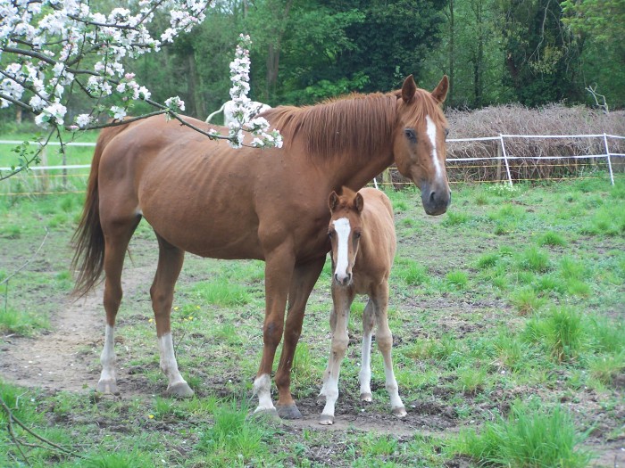 Photo de profil de floli