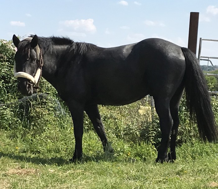 Photo de profil de floramis