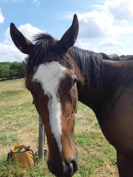 Photo de profil de florianelor2