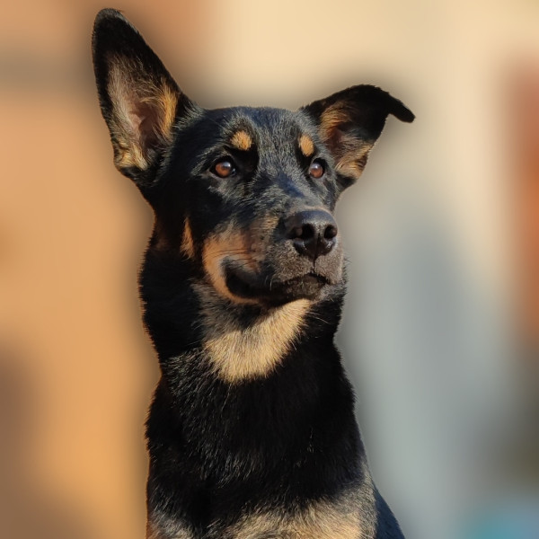 Photo de profil de florine.61