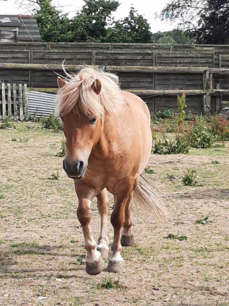 Photo de profil de florius140