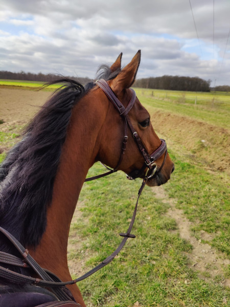 Photo de profil de flow_214