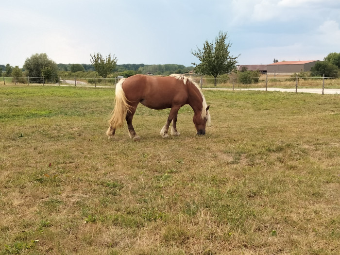 Photo de profil de fmesnier