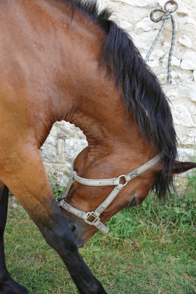 Photo de profil de fmmv