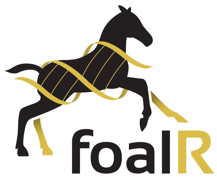 Photo de profil de foalr