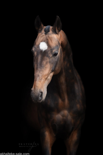 Photo de profil de france.63