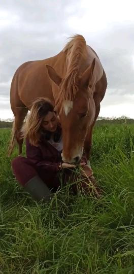 Photo de profil de france.jlt