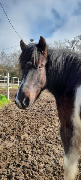 Photo de profil de freespirit_34