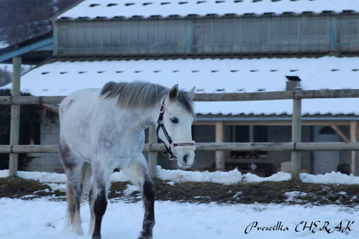 Photo de profil de freigh