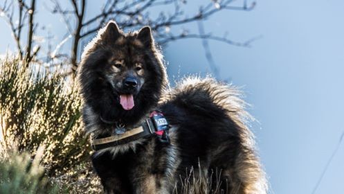 Photo de profil de gabstagg