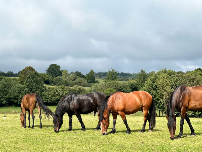 Photo de profil de gaetetso