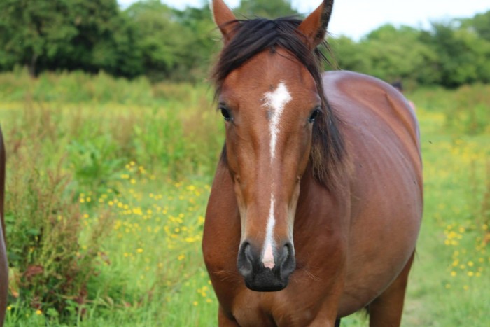 Photo de profil de galaadsam78600