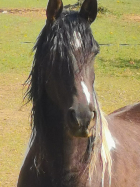 Photo de profil de gambes