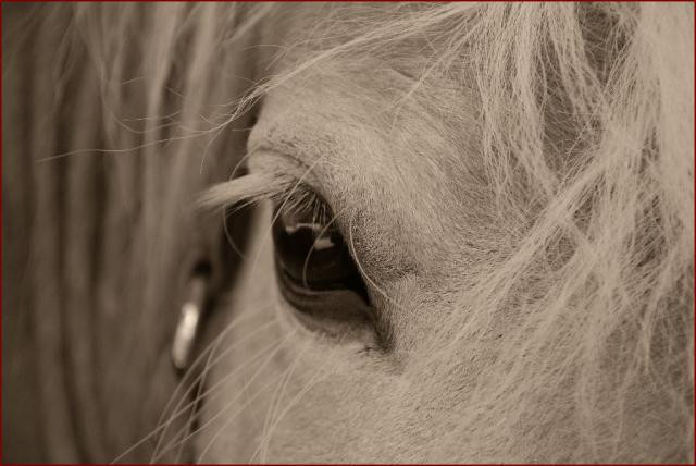 Photo de profil de gannelle8