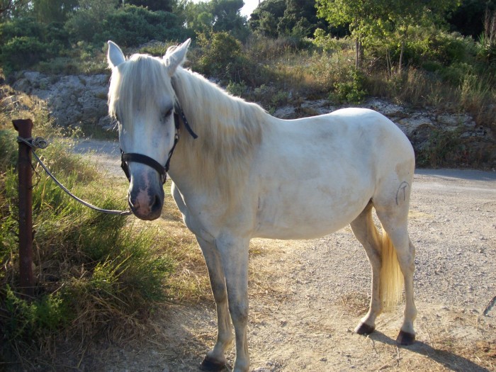 Photo de profil de gardon30