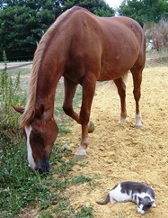 Photo de profil de gaspard1