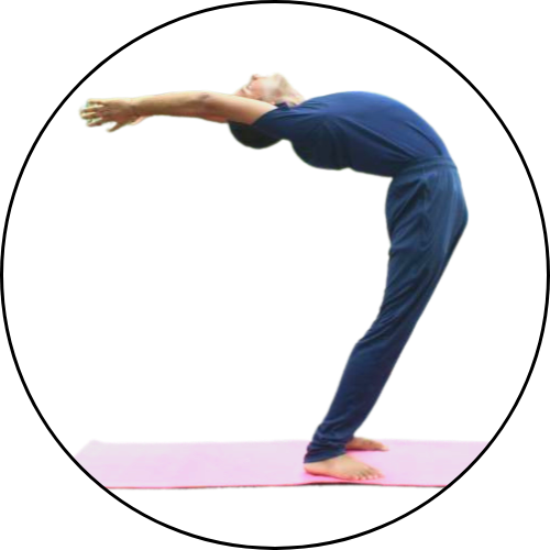 Photo de profil de gayatriyoga